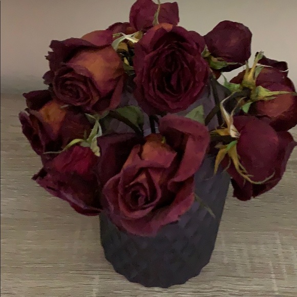 Meet your Posher, Stevi - Picture 1 of 1